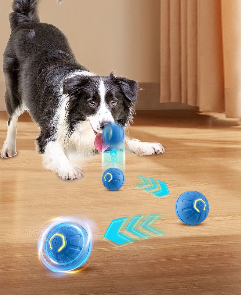 🐕🐈 Pelota Inteligente Para Los Regalones 🐕🐈