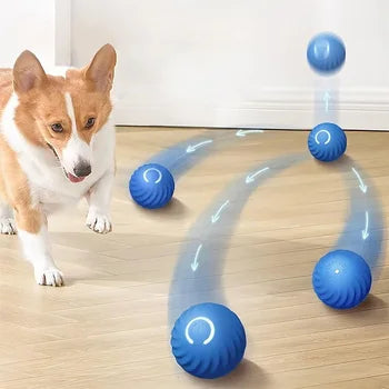🐕🐈 Pelota Inteligente Para Los Regalones 🐕🐈