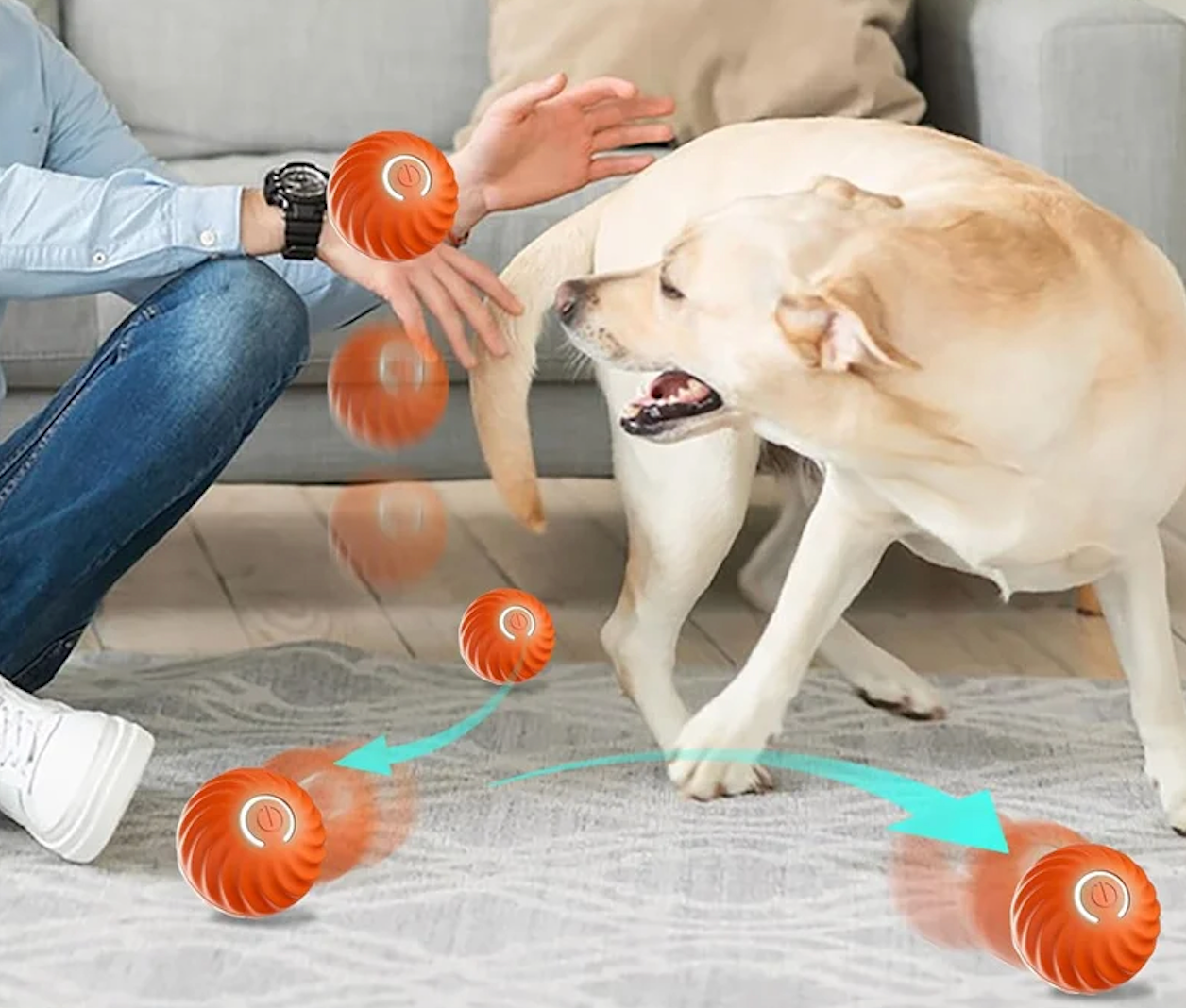 🐕🐈 Pelota Inteligente Para Los Regalones 🐕🐈