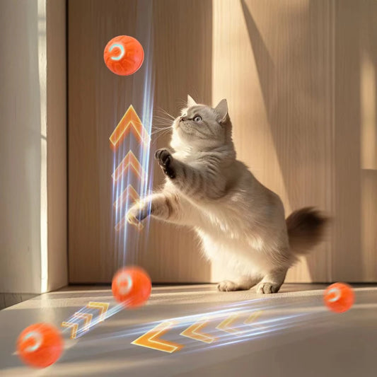 🐕🐈 Pelota Inteligente Para Los Regalones 🐕🐈