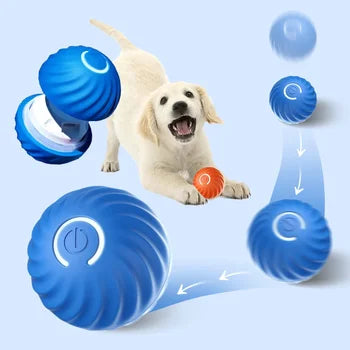 🐕🐈 Pelota Inteligente Para Los Regalones 🐕🐈