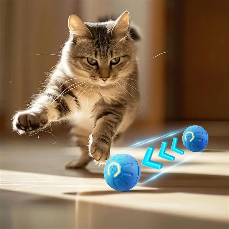 🐕🐈 Pelota Inteligente Para Los Regalones 🐕🐈